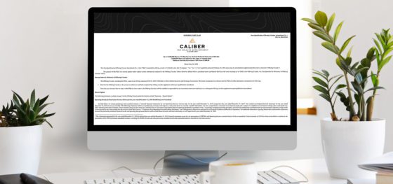 Caliber 2019 Annual Report